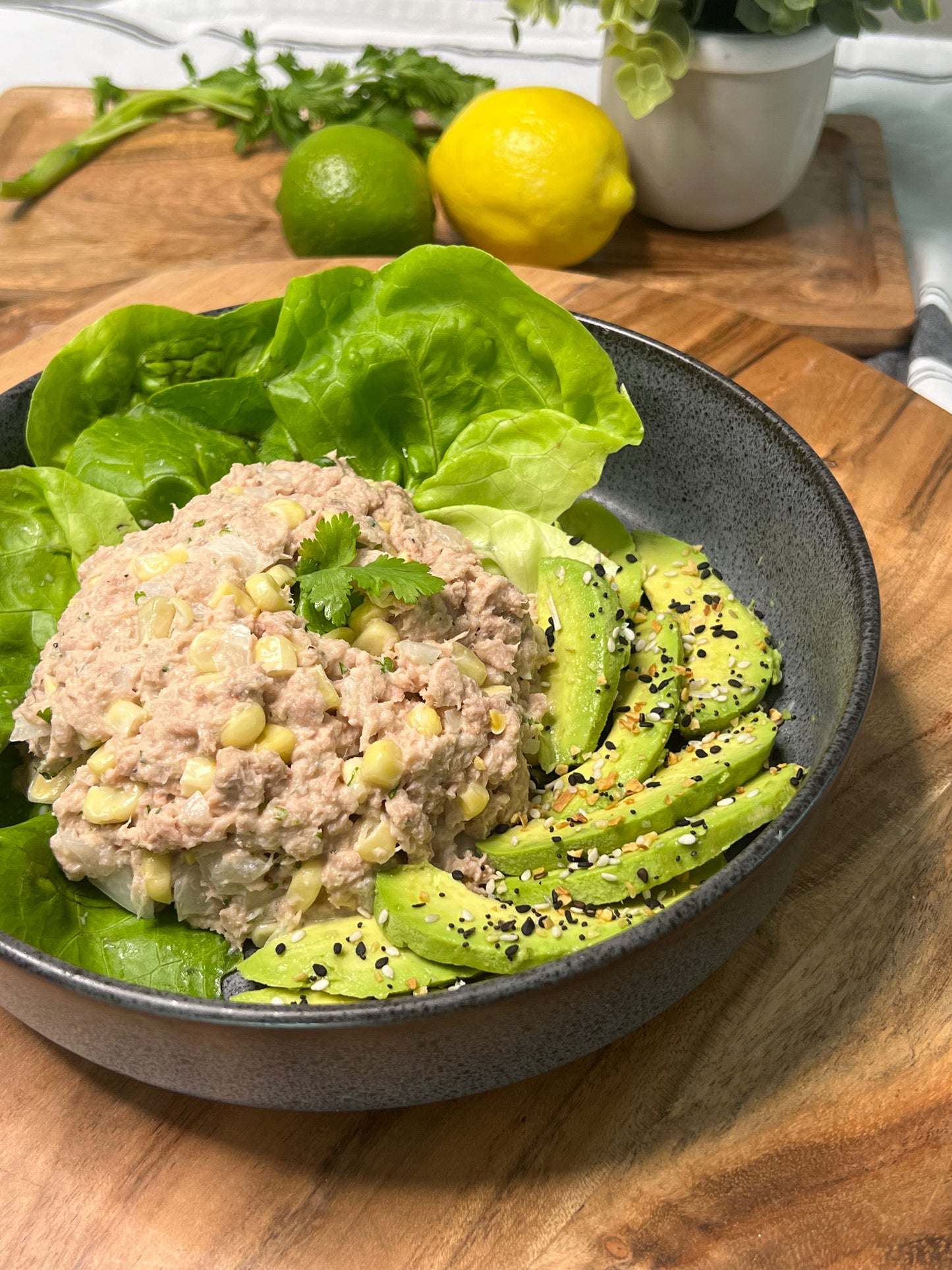 Guía de Alimentación RETO BIKINI